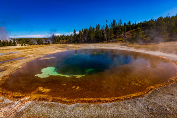 istock Beauty Pool in Yellowstone 1210266759
