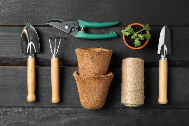 istock Gardening tools and pot with sprout on wooden background, top view 1210266854