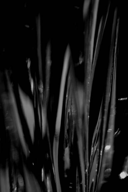 istock Abstract black blurred techno minimal futuristic background 1210266886