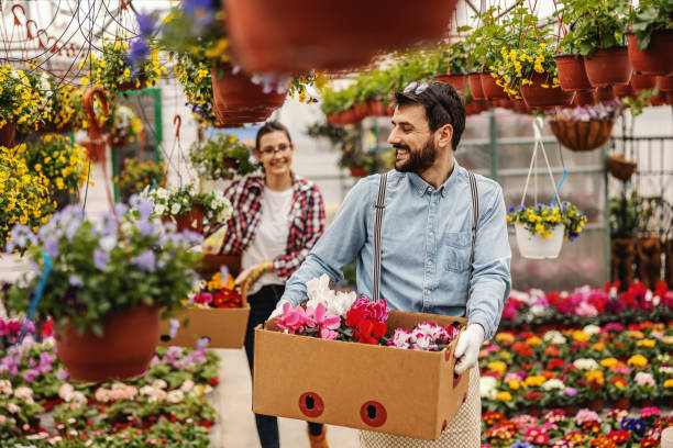 istock Two happy nursery garden workers holding boxes with flowers and relocating it. Focus on man in foreground. 1210267143