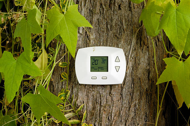 Thermostat on tree, heating temperature in Celsius stock photo