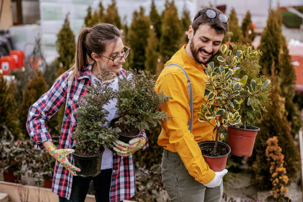 istock Two botanist holding pots with evergreen trees and relocating it. 1210267243