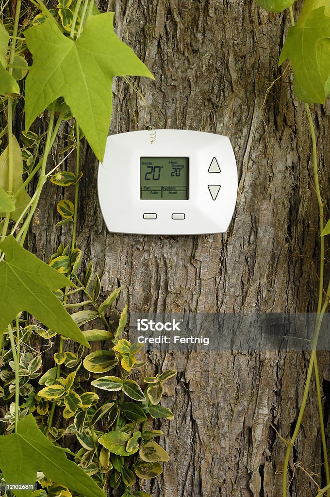 Termostato en árbol, calentamiento de la temperatura en grados centígrados - Foto de stock de Termostato libre de derechos