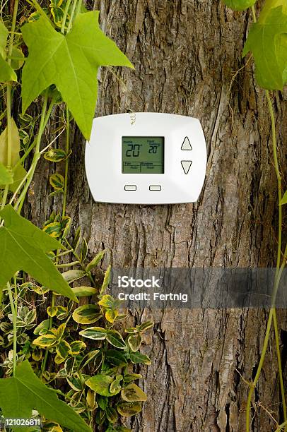 Termostato Su Albero Riscaldamento Temperatura In Celsius - Fotografie stock e altre immagini di Albero