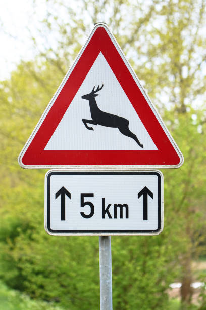 istock attention wild animal on the road sign 1210268380