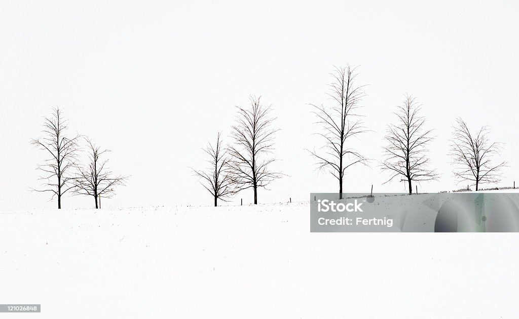 Paysage hivernal - Photo de Arbre libre de droits