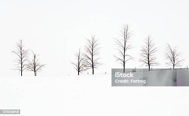 Photo libre de droit de Paysage Hivernal banque d'images et plus d'images libres de droit de Arbre - Arbre, Arbre sans feuillage, Blanc