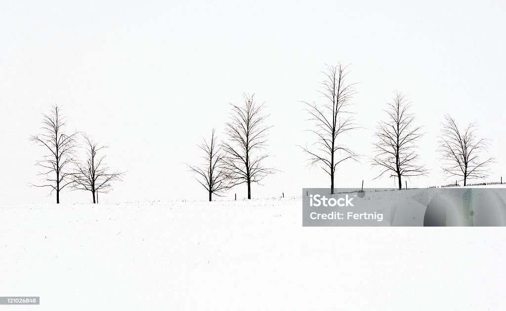 Paisagem de inverno - Foto de stock de Branco royalty-free