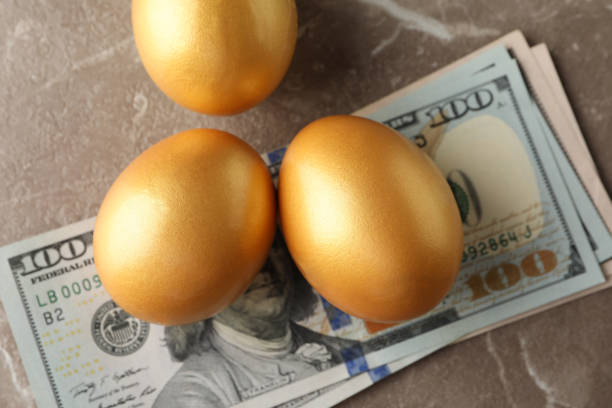 istock Golden eggs and money on grey background, top view 1210268507