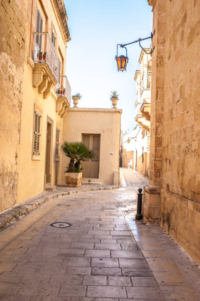 istock Narrow streets in Mdina 1210268624