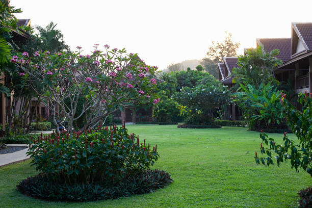 istock Landscape garden village 1210272750