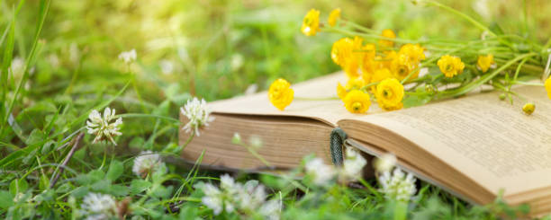 istock Open book, yellow flowers fanned pages on grass. Summer spring background with open book. Back to school. Copy Space, banner 1210273617