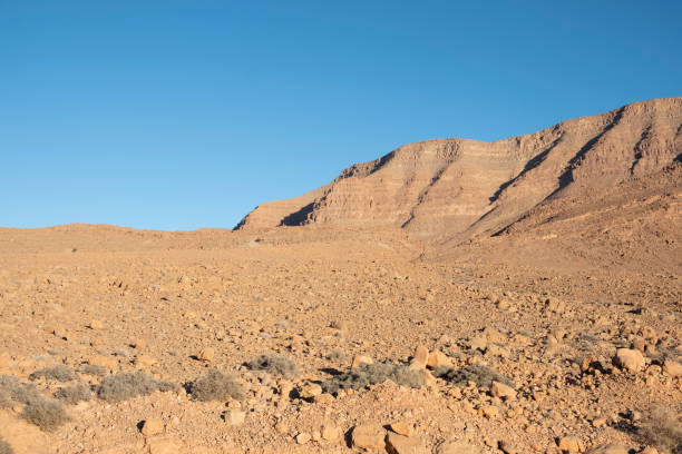 istock Stone desert in the High Atlas 1210276669