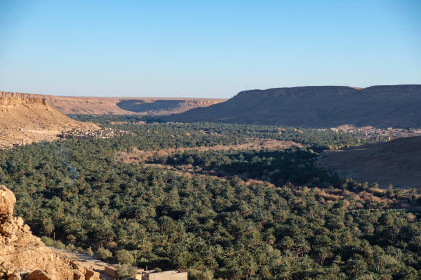 istock Oasis valley in the sahara dessert 1210277653
