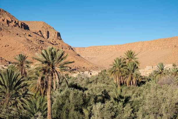istock Oasis in the dessert mountains 1210278682
