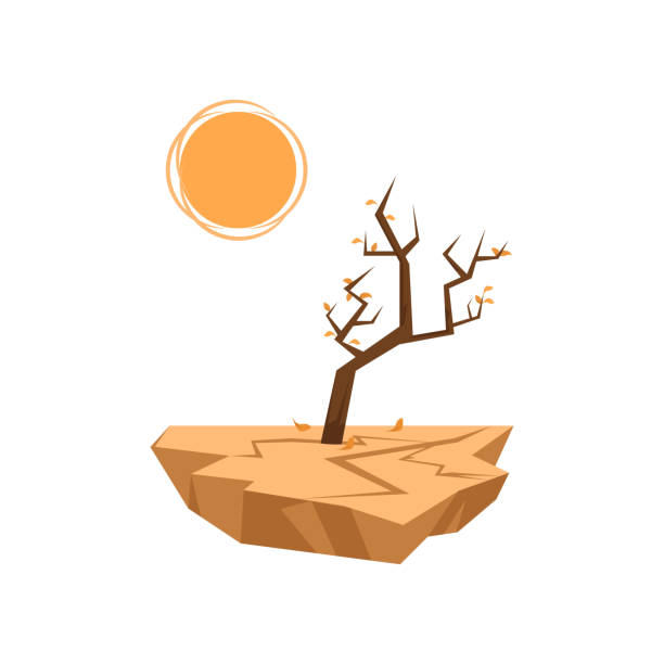 Dead trees sprout in dry soil isolated on white background Dead tree with last one orange leaves sprouts in dry soil under hot sun. Icon isolated on white background. Global warming, air drought. Natural disaster thematic. Environmental hazard concept. drought stock illustrations