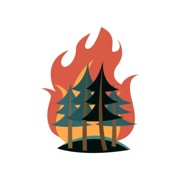 Vector illustration of Spruces in forest on fire isolated on white background