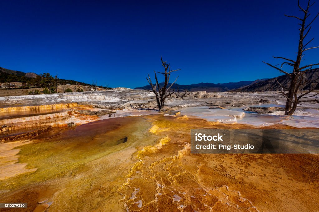 Angel Terrace Angel Terrace At Mammoth Spring Stock Photo - Download Image Now ...