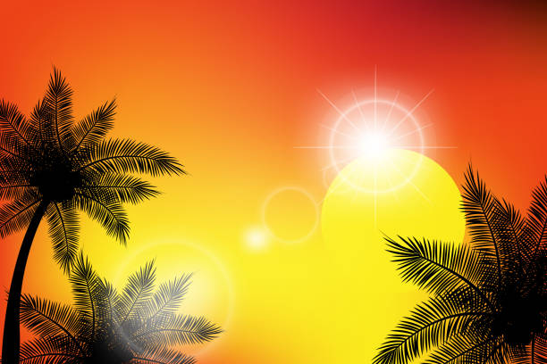 istock Summer tropical backgrounds of silhouette of palm tree with sunset sky with your copy space. Vector illustration. 1210281435