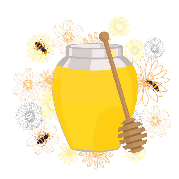 illustrations, cliparts, dessins animés et icônes de miel de fleur.  illustration de vecteur. - 2274
