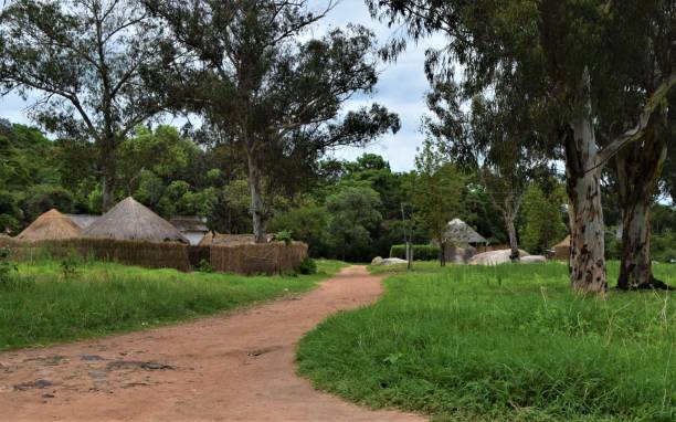 strada rurale dello zimbabwe e villaggio tradizionale - house wood dirt road footpath foto e immagini stock