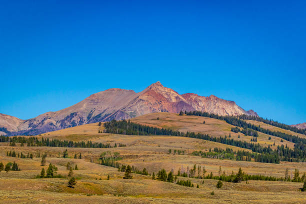 istock Electric Peak in Gallatin Range 1210282250