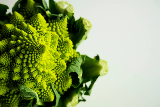 kapusta rzymska - cavolo romano - romanesque broccoli cauliflower cabbage zdjęcia i obrazy z banku zdjęć