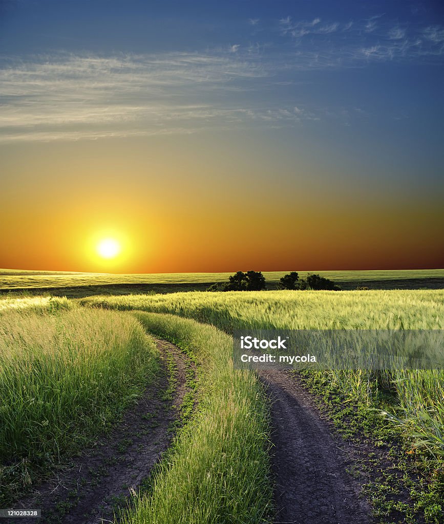 sunset over road  Agricultural Field Stock Photo
