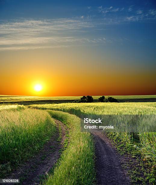 Sunset Over Road Stock Photo - Download Image Now - Agricultural Field, Barley, Blue