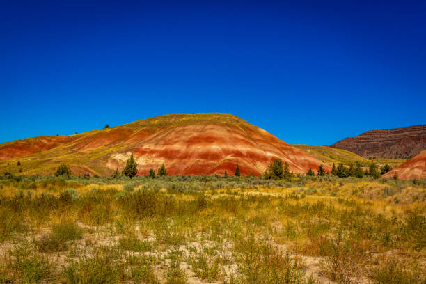istock Colorful layers of Painted Hills 1210284171