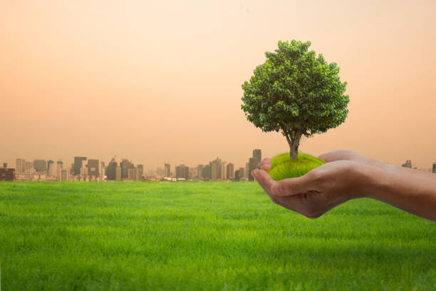 istock World Environment Day concept: hands holding big tree over city background. 1210284486