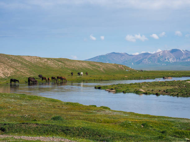 istock Tien Shan Mountains, Kyrgyzstan 1210285981