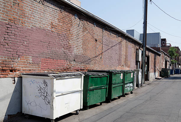 istock Dumpsters in and urban alley 121028812