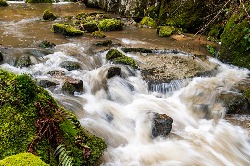 Pure Fresh Mountain Stream in Summer - Scenic tranquil spot with lush green foliage and Zen-like look. Peak summer mountain creek. Vail, Colorado USA.