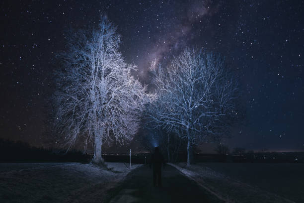 istock Silhouette of hiker person with flashlight 1210288897