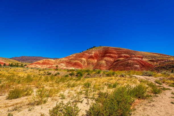 istock Colorful layers of Painted Hills 1210290596