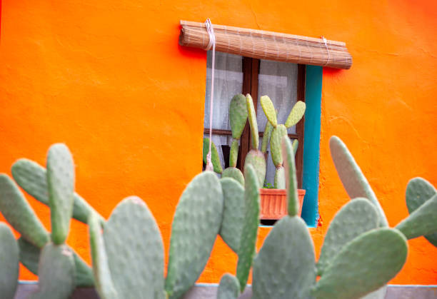 maison rustique mexicaine - orange wall photos et images de collection