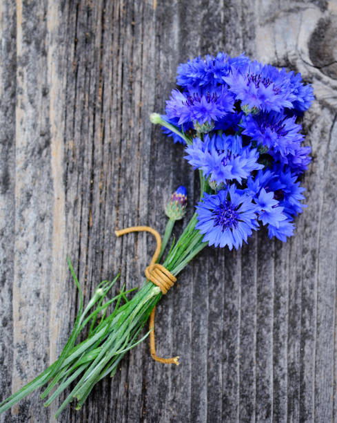 istock Cornflower blue flowers (Centaurea cyanus) on an old wooden table. Top view. 1210292193