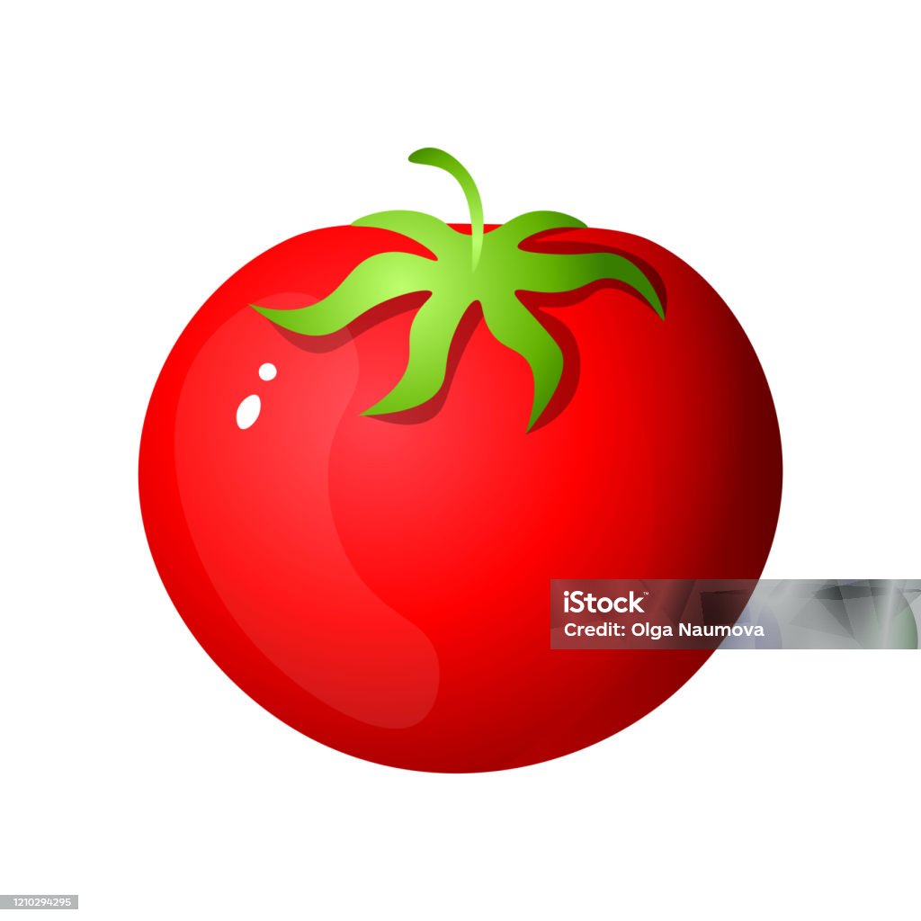 Ilustración de Un Solo Tomate Rojo Dibujos Animados Simples Aislados Sobre  Fondo Blanco y más Vectores Libres de Derechos de Tomate - iStock