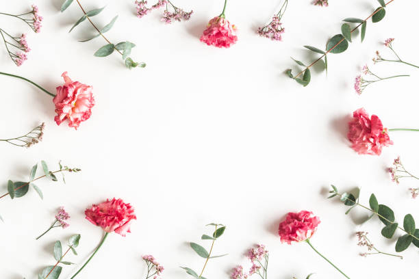 istock Flowers composition. Frame made of pink flowers and eucalyptus branches on white background. Valentines day, mothers day, womens day concept. Flat lay, top view 1210294556