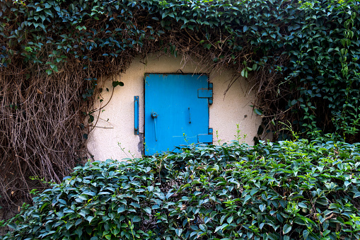 Israeli bomb shelter hidden in the forest overgrown with plants
