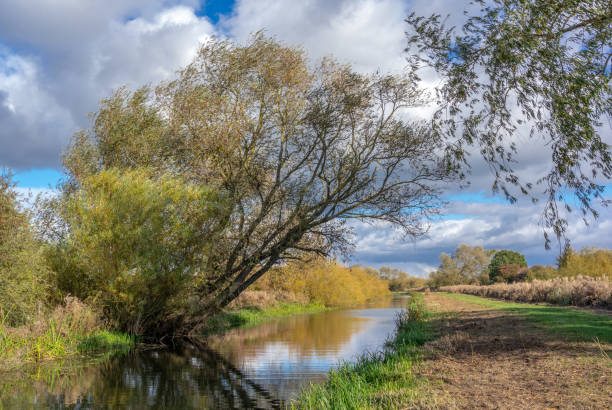 istock Trees and Canal waterway in rural England 1210296885