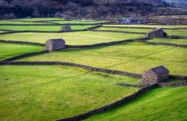 istock Barns in Gunnerside in the Yorkshire Dales 1210296956