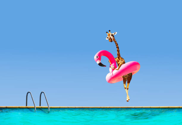 istock Giraffe jumping into pool with inflatable flamingo 1210297494
