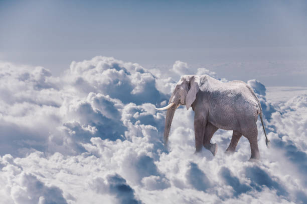 istock Concept of elephant be light and walk in clouds 1210297526