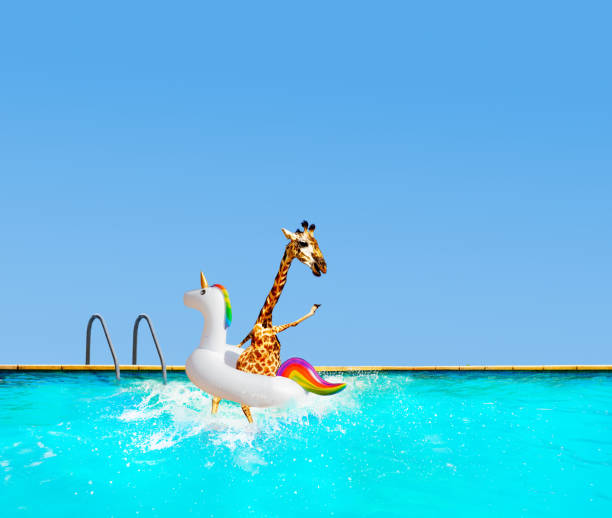 istock Giraffe jumping into pool with inflatable unicorn 1210297539