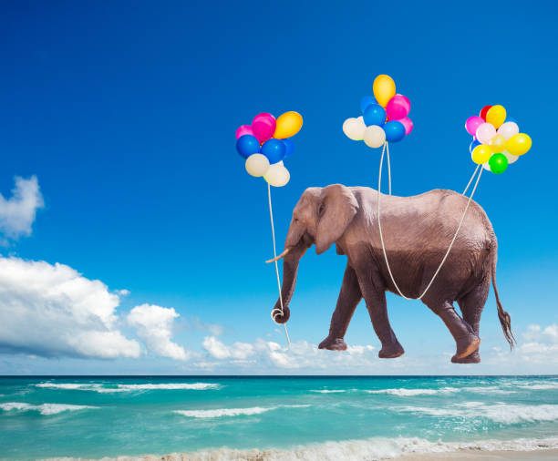 istock African elephant fly on the color air balloons 1210297543