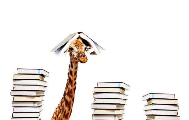 istock Funny giraffe with piles and book on head look 1210297545