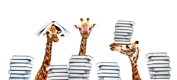 Group of three happy giraffes with book on heads