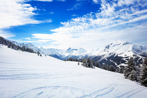 istock Mountain peaks and snow ski plane view Mont-Blanc 1210298942